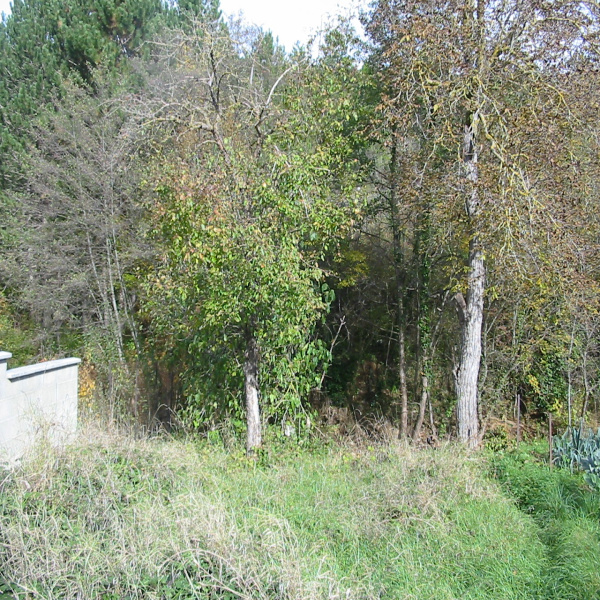 Offres de vente Maison Limoux 11300