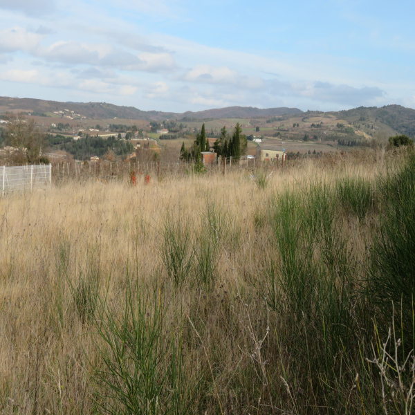 Offres de vente Terrain Limoux 11300