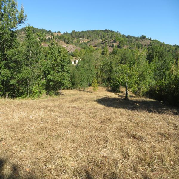 Offres de vente Terrain Castelreng 11300