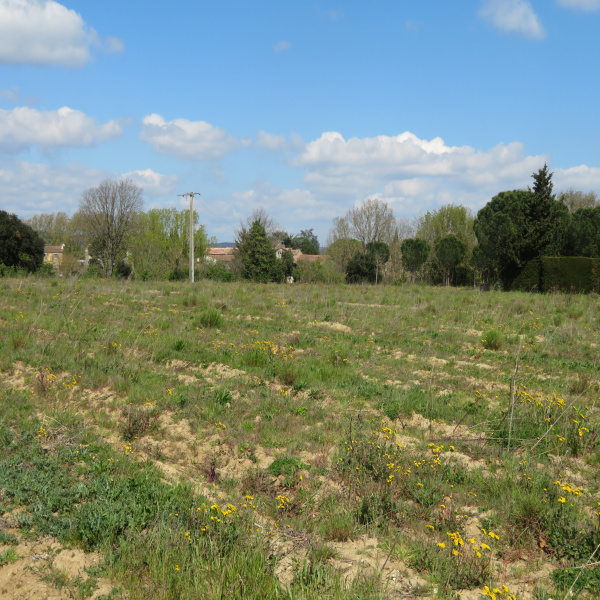 Offres de vente Terrain Limoux 11300