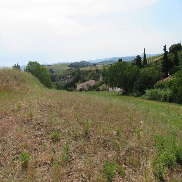 Offres de vente Terrain Limoux 11300
