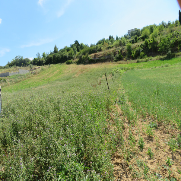Offres de vente Terrain Limoux 11300