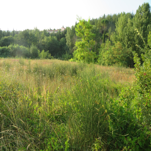 Offres de vente Terrain Limoux 11300