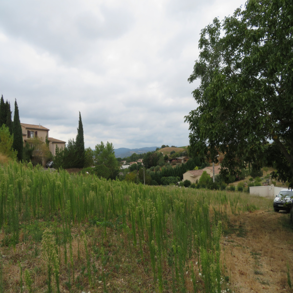 Offres de vente Terrain Limoux 11300