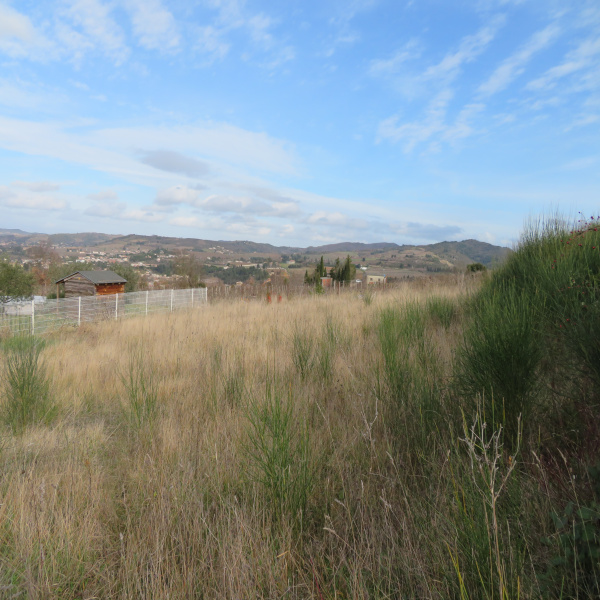 Offres de vente Terrain Limoux 11300