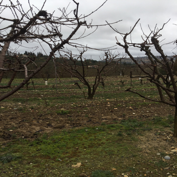 Offres de vente Terrain Limoux 11300