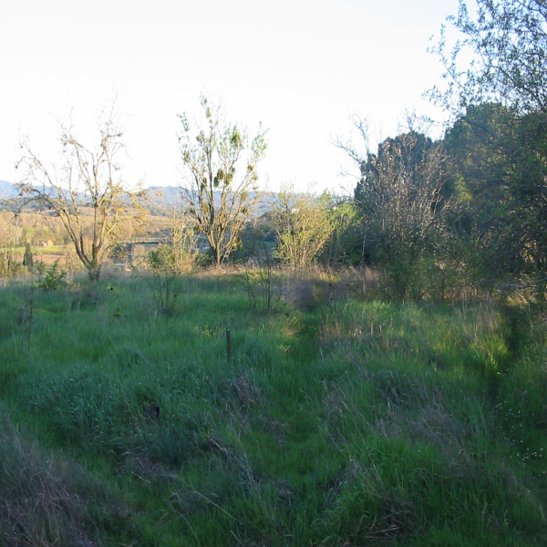 Offres de vente Terrain Limoux 11300