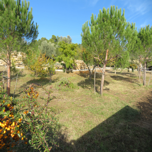 Offres de vente Villa Limoux 11300