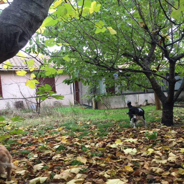 Offres de vente Villa Carcassonne 11000