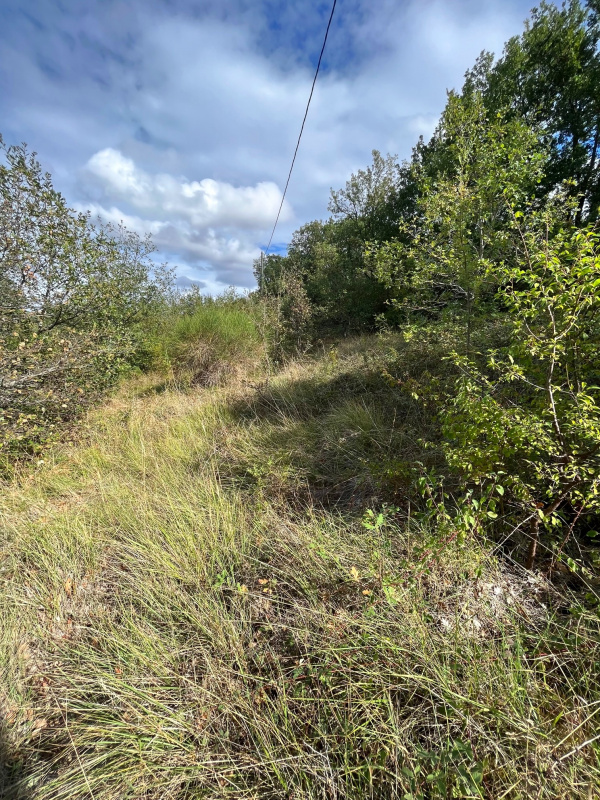 Offres de vente Terrain Limoux 11300