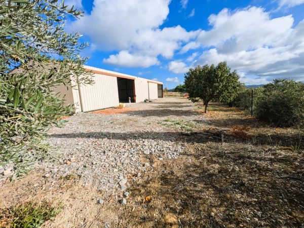 Offres de vente Autre Rouffiac-d'Aude 11250