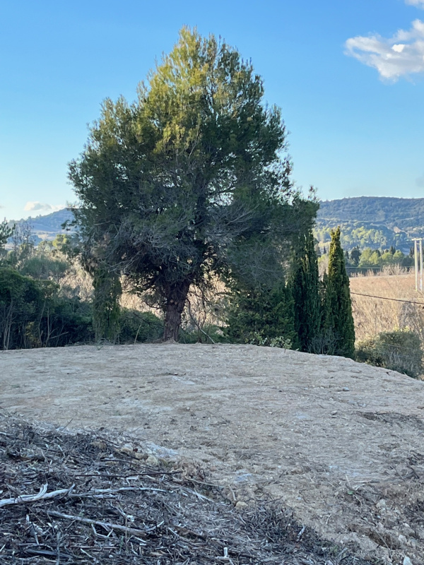Offres de vente Terrain Limoux 11300